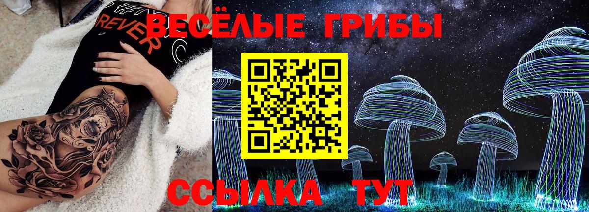 Псилоцибиновые грибы Cubensis Сатка