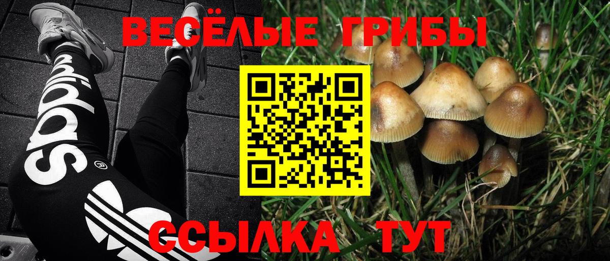 Галлюциногенные грибы мицелий  Вход с VPN  магазин    Псилоцибиновые грибы Psilocybe  Сатка 
